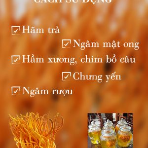 cách sử dụng đông trùng hạ thảo sinh khối tươi viện thảo dược