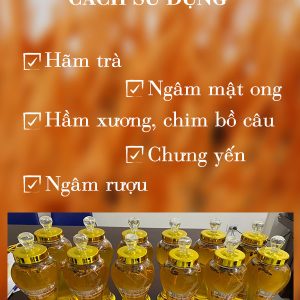 cách sử dụng đông trùng hạ thảo nguyên con tươi viện nghiên cứu thảo dược việt nam