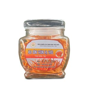 Đông Trùng Hạ Thảo Viện Thảo Dược - Quả Thể Khô 10gr
