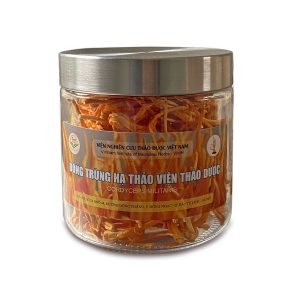 đông trùng hạ thảo viện thảo dược hoa đông trùng hạ thảo 22grđông trùng hạ thảo viện thảo dược hoa đông trùng hạ thảo 22gr