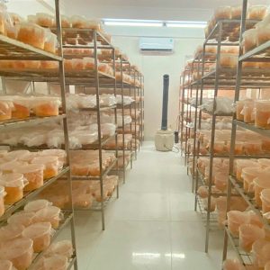 phong nuoi dong trung ha thao nguyen con vien thao duoc