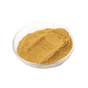 Đông Trùng Hạ Thảo Viện Thảo Dược - Bột Đế 600gr