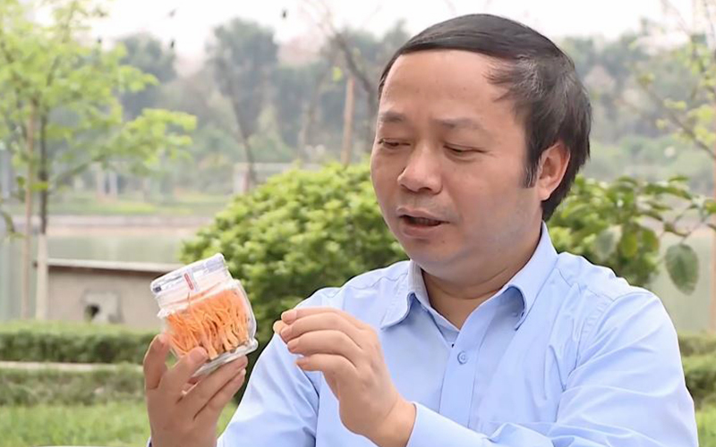 người việt hóa đông trùng hạ thảo phạm văn nhạ