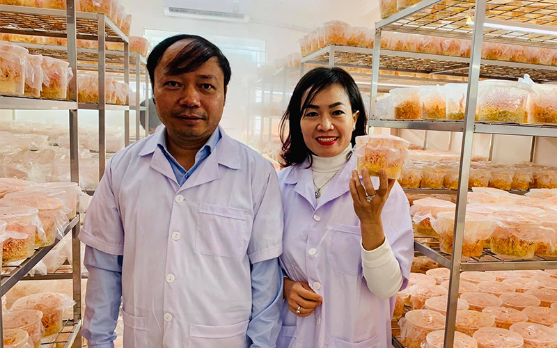 Người Việt hóa thành công Đông trùng Hạ thảo tại Việt Nam 2 người việt hóa đông trùng hạ thảo