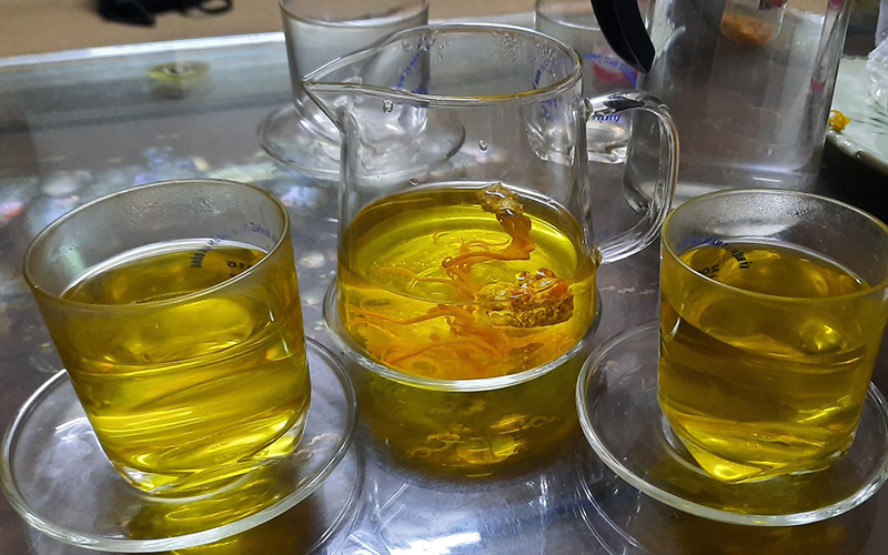 Những lưu ý khi sử dụng Đông trùng hạ thảo 1 những lưu ý khi sử dụng đông trùng hạ thảo