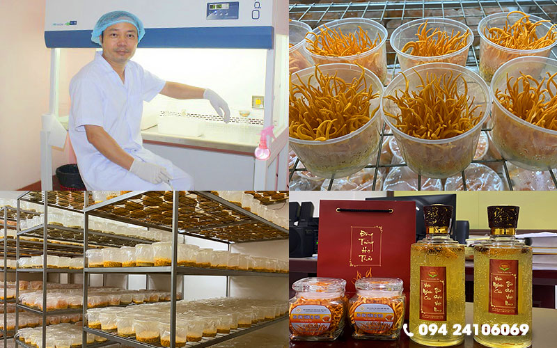 Địa Chỉ Mua Đông Trùng Hạ Thảo - TS Phạm Văn Nhạ 2 đông trùng hạ thảo tiến sĩ phạm văn nhạ