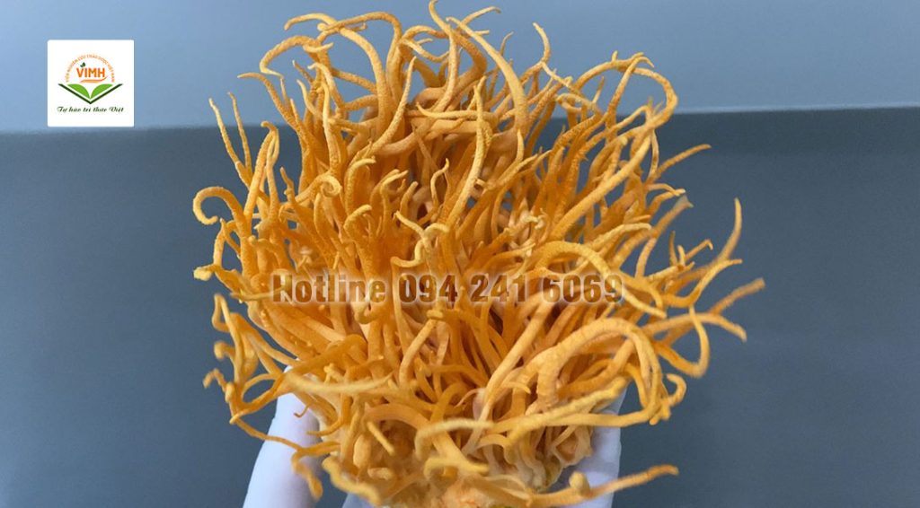 tiến sĩ phạm văn nhạ