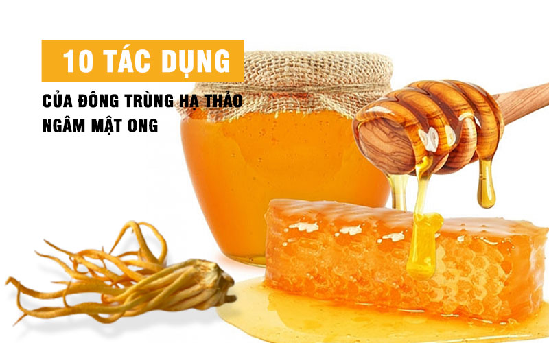 10 tác dụng của đông trùng hạ thảo ngâm mật ong
