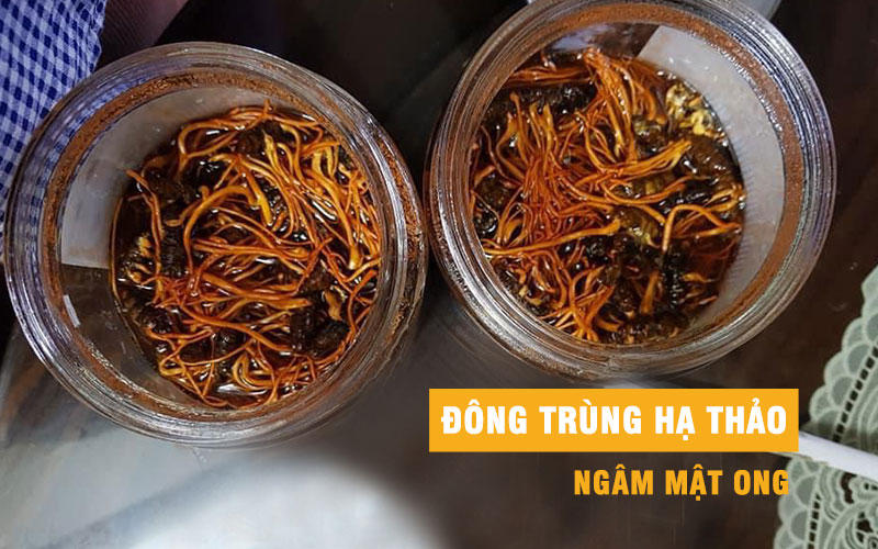 đông trùng hạ thảo ngâm mật ong