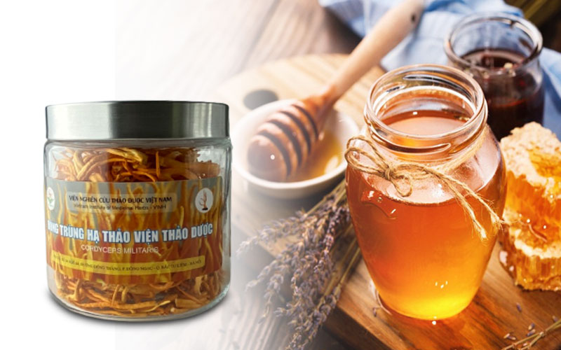 Đông trùng hạ thảo ngâm mật ong: cách ngâm, công dụng? 3 đông trùng hạ thảo viện nghiên cứu thảo dược việt nam ngâm mật ong