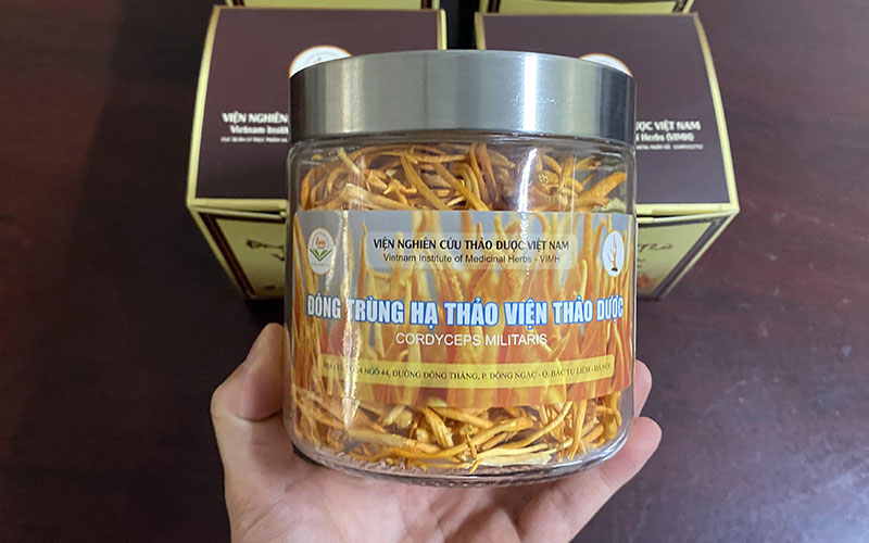 Thịt Heo Xào Đông Trùng Hạ Thảo Mộc Nhĩ 2 Đông trùng hạ thảo Viện Nghiên cứu thảo dược Việt Nam