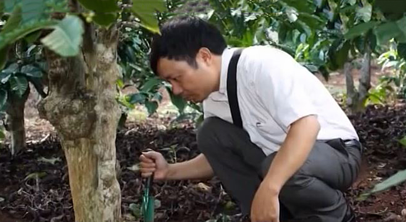 người việt hóa đông trùng hạ thảo